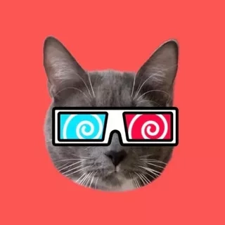 Kotiynet - Канал о котиках