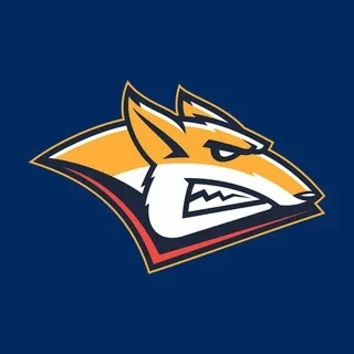 Официальный канал хоккейного клуба «Металлург»