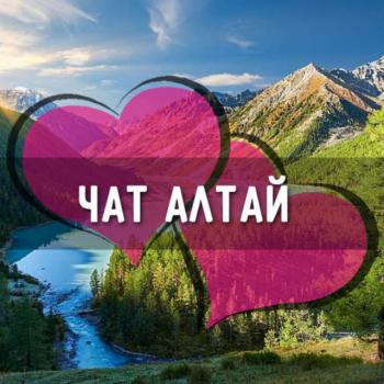 altay_chatik