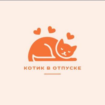 Котик🐈 в отпуске | Домашняя передержка