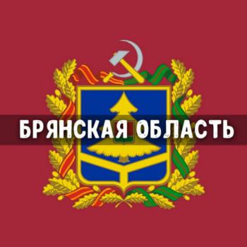 Чат Брянская область: Брянск, Клинцы, Новозыбков, Дятьково, Унеча, Карачев, Стародуб, Жуковка, Сельцо, Почеп 💬