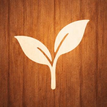 ПсихоГид | Возрастная психология