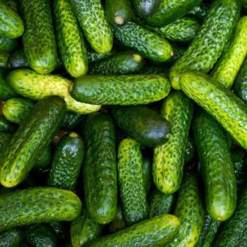 Русские горки. Всё про бизнес. От Зажигина Алексея