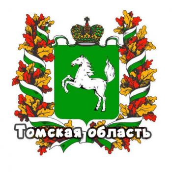 Чат Томская область: Томск, Северск, Стрежевой, Асино, Колпашево, Каргасок, Мельниково, Белый Яр, Парабель, Самусь