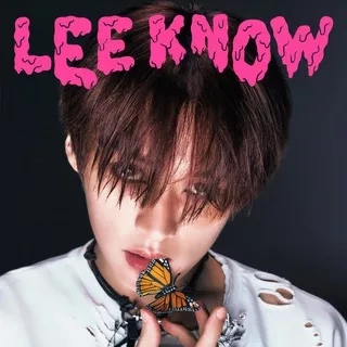 LEE KNOW | STRAY KIDS - Telegram канал