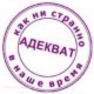 АДЕКВАТ Z - Политика и адекватность