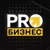 PRO Бизнес - канал Telegram о бизнесе