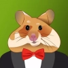 Crypto Hamster - TOП качество аналитики и трейдинг