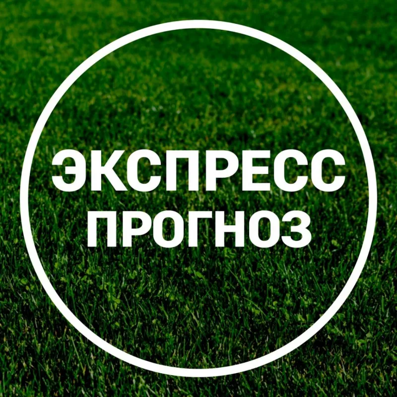 прогнозы на спорт