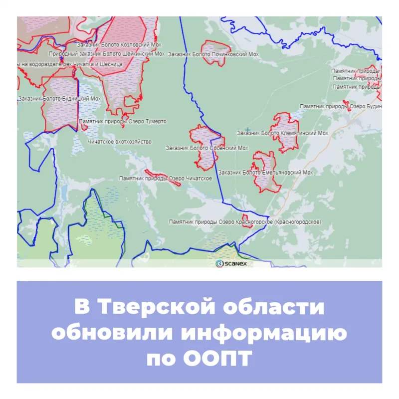 тверская область