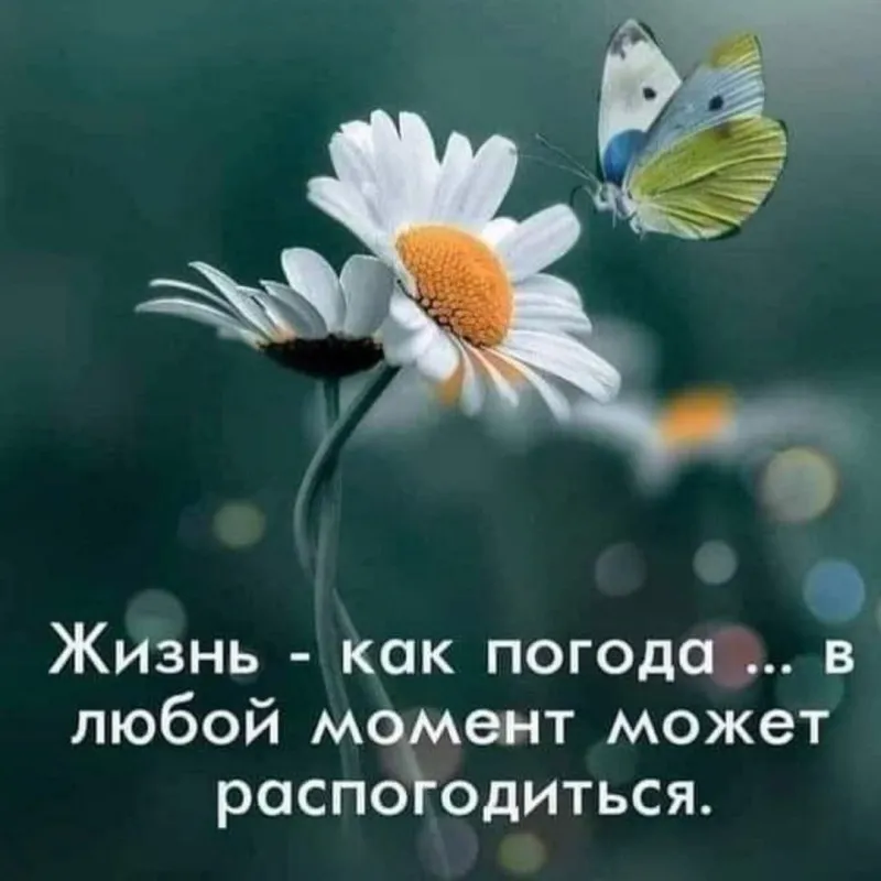 мысли