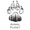 Animal Planet - забавные зверушки в Telegram
