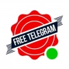 Канал freeTelegram
