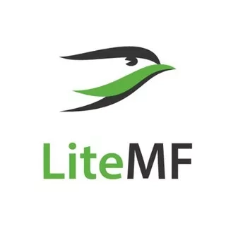 LiteMF | Выкуп и доставка из США, Китая, Европы, ОАЭ и Турции