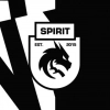 Официальный Telegram-канал Team Spirit