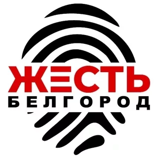 Жесть Белгород - самый популярный канал Белгородской области